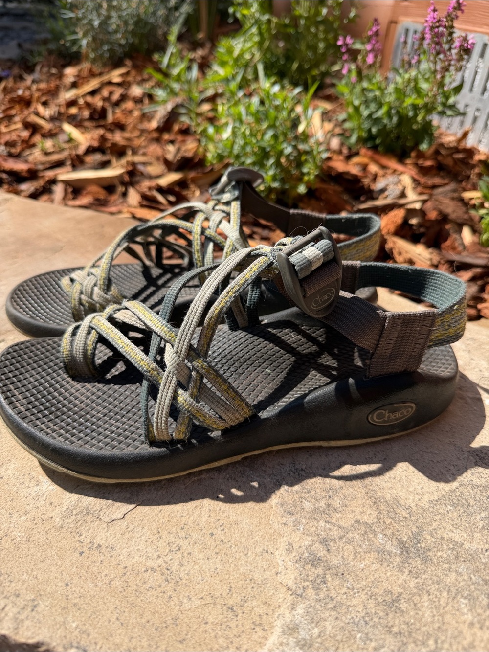 Chaco women's strappy sandals in lime green and olive